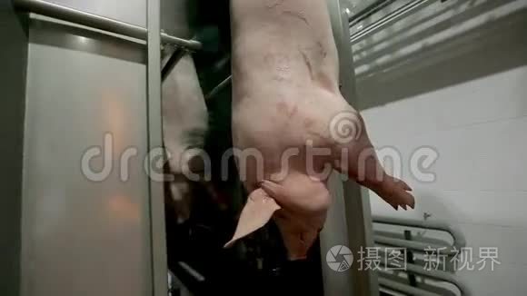 挂猪肉卡蜜视频