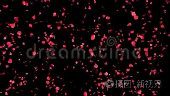 飘落的花瓣玫瑰3D动画