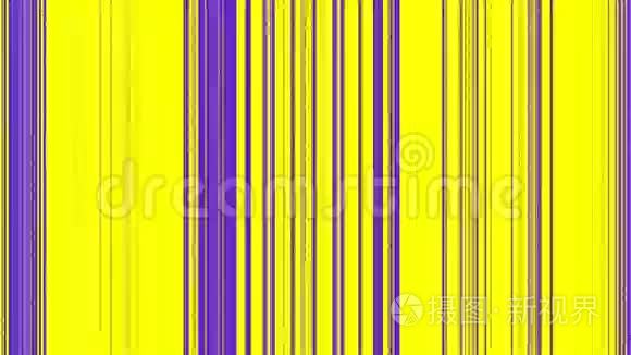 黄色上的垂直洋红紫色线视频