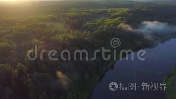 绿色草地河流的空中地貌视频