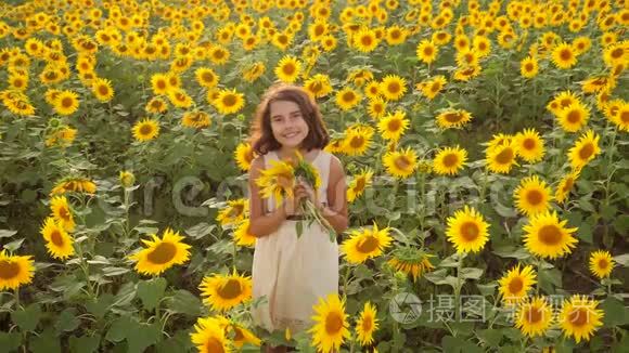 快乐的小女孩生活方式在向日葵的领域在夏天。 向日葵上美丽的小女孩。 慢速视频