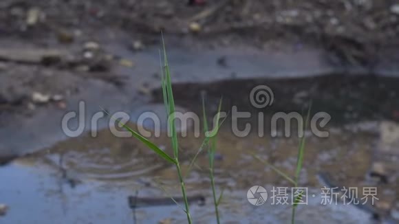 大量垃圾污染我们的水域视频