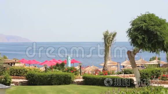 埃及美丽的海滩和海景