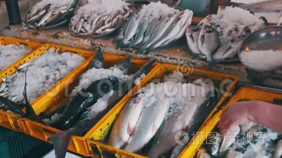 柜台市场新鲜海冰鱼视频