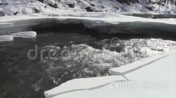 春天河水在流视频