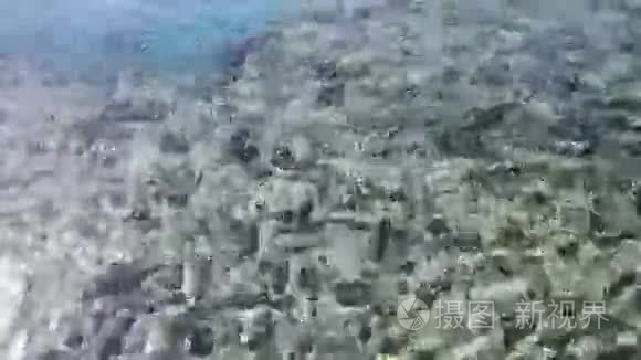 海水晶清澈的碧水背景视频