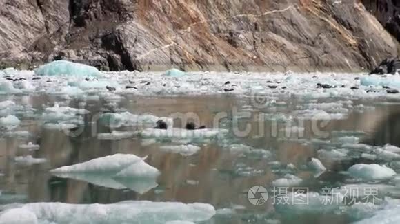 阿拉斯加山水太平洋背景下移动浮冰。