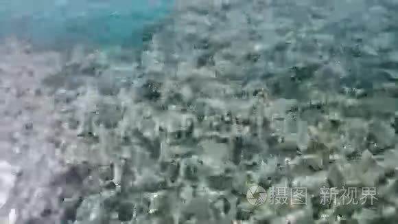 海水晶清澈的碧水背景视频