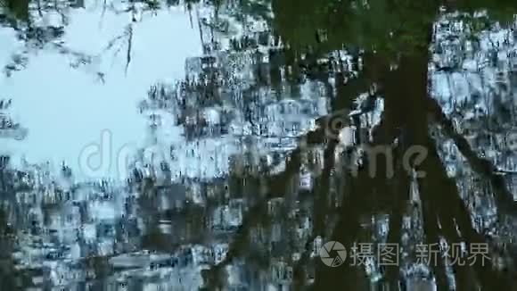 大自然中的绿湖水面视频