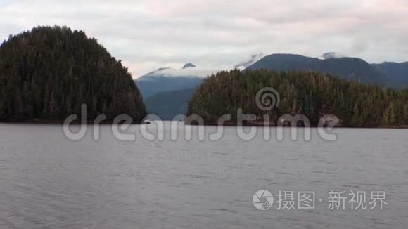 阿拉斯加背景山脉太平洋平静水域上令人惊叹的风景。