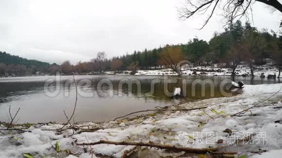 大自然中的绿湖水面视频