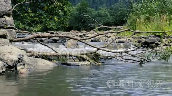 有树木和河流的自然景观