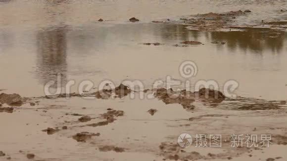 田野里的湿泥视频