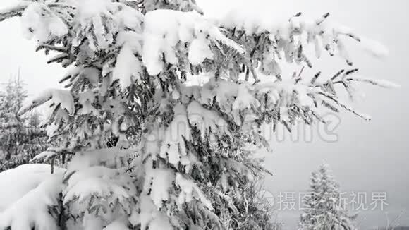 卡尔帕坦山脉的冬季暴风雪视频