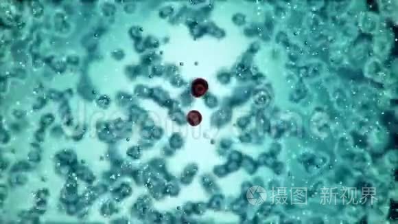 微型平板细菌自身繁殖三维渲染视频