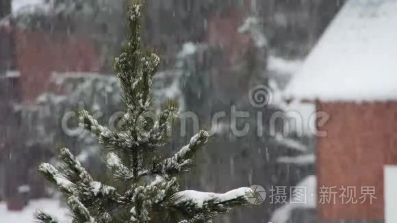 下雪了，圣诞树也掉了