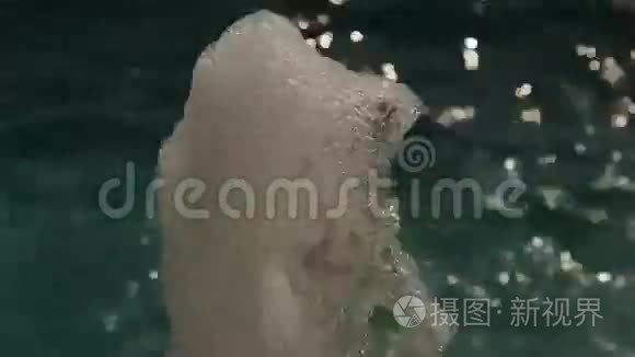 喷泉处的水质地视频