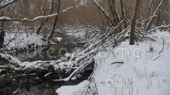 树林中的小溪自然冬天的山水流水，雪中的小河
