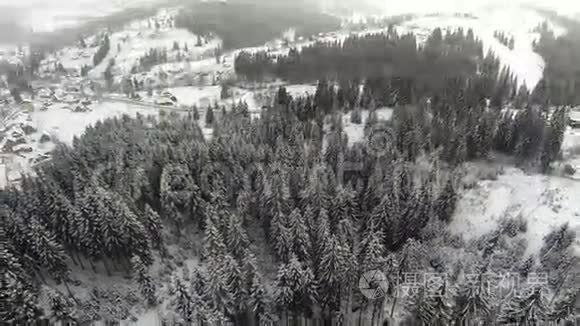 喀尔巴阡山针叶林空中拍摄视频