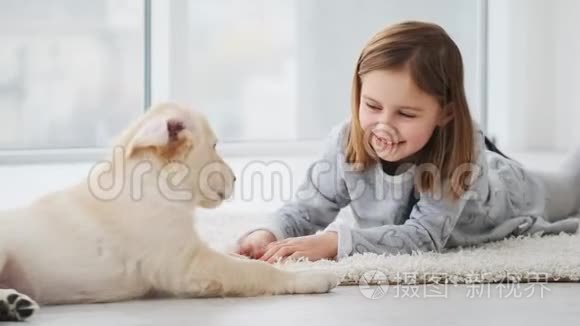 女孩和小狗玩