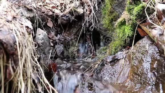 饮酒的细沟是晶莹剔透的视频