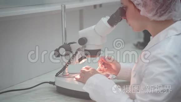 女科学家开始使用显微镜。 微生物学家看显微镜。 微生物实验室研究
