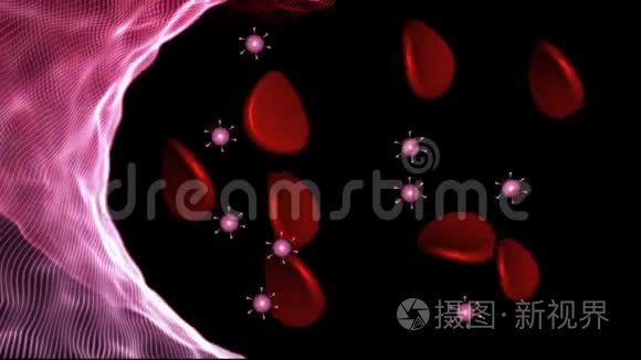 血管中沿红细胞分布的病毒颗粒视频