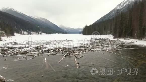 冰湖边漂流木材的美丽空中景色视频