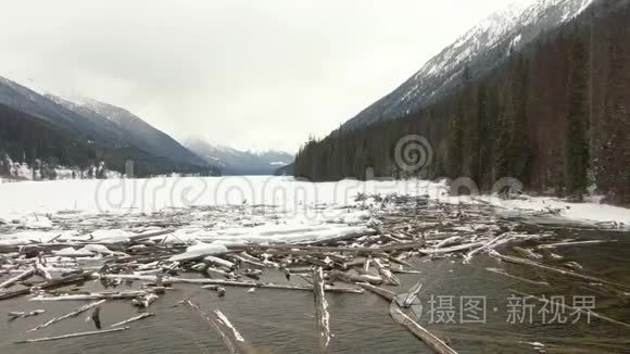 冰湖边漂流木材的美丽空中景色视频