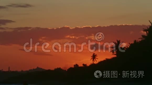 夕阳红下的全景，在海岸的棕榈树的映衬下