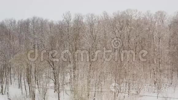 最佳空中飞行的深冬。 白雪覆盖了森林中的树木，从一架四翼飞机上射出