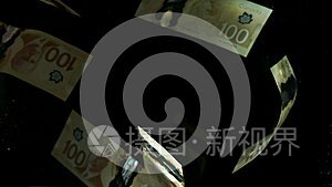 在4K循环的黑色背景下，美国加拿大元钞票的下落。 高质量下跌美元