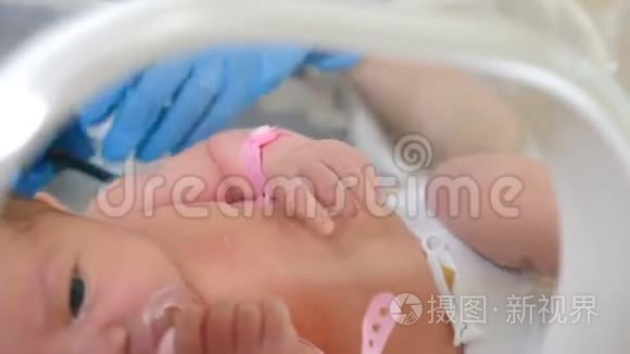 新生儿在孵化器，重症医院治疗：CCU，ICU，电联.. 戴着蓝手套的医生握着婴儿的小手