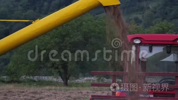 农村收割小麦的足迹视频
