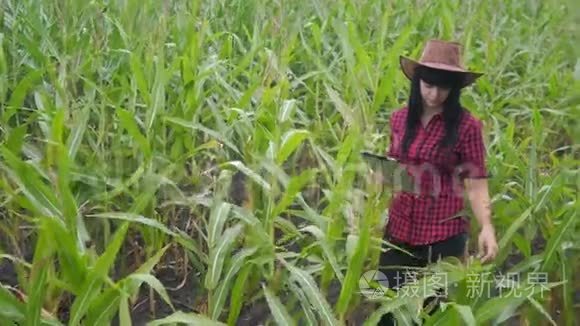 智慧生态农业养殖理念.. 农民女孩植物研究员一个用途，触摸平板电脑，同时检查生活方式