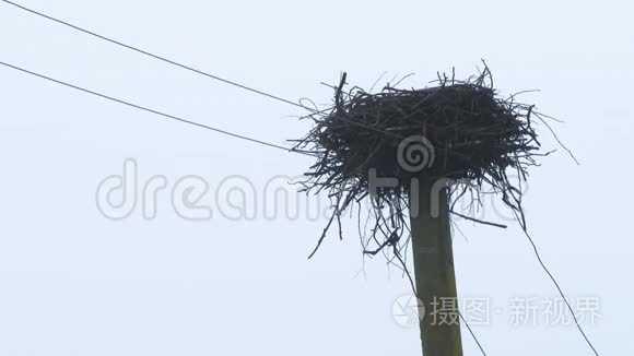 电线杆上的孤鹳鸟窝.. 废弃的巢穴。 鹳鸟飞向温暖的气候4k