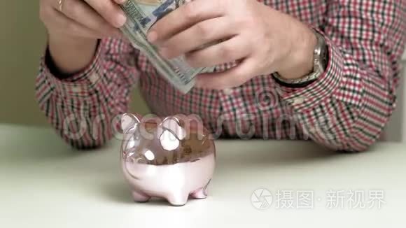 猪银行粉红色的猪。 投资和商业。 人与金钱