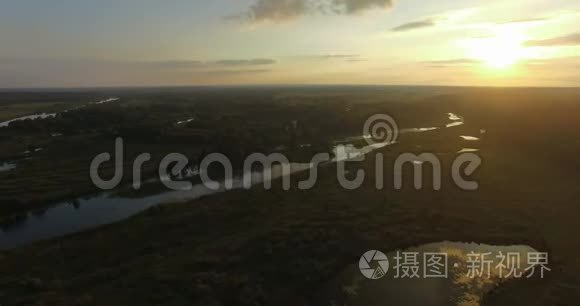 森林和湿地的空中日落景象视频