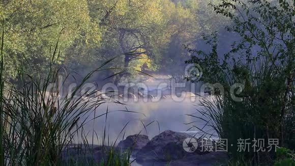 窄窄的河流，水流湍急，在寒冷的秋日清晨，河岸上有柳树和芦苇
