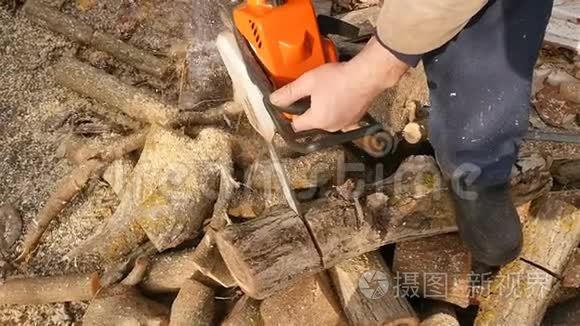 一个成年的职业伐木工人用电锯砍树。 乡村。 慢动作