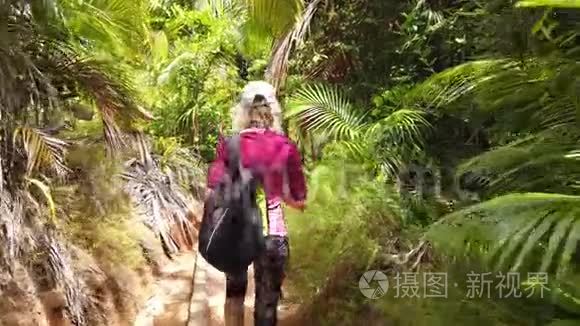 可可美棕榈树步行第三人称景观视频