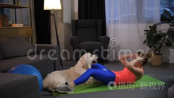 在狗的控制下训练女性腹部视频