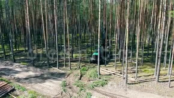机械收割机正在顶部砍伐树木视频