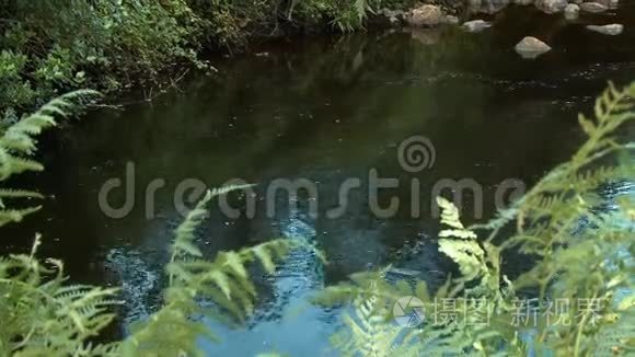 平静的小溪流水导致巨大的岩石视频