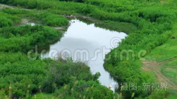 夏日，从山上到小溪，前景是草。