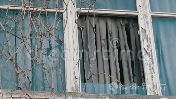 旧废弃的窗户的外部,有干树枝和破烂的窗帘短视频