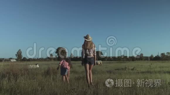 欢乐的一家人走在夏日的田野里视频