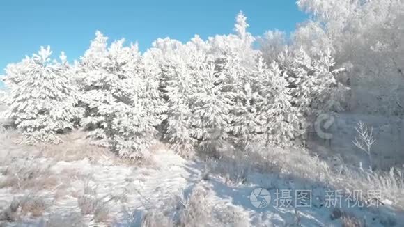 晴天的白雪公主冬林视频