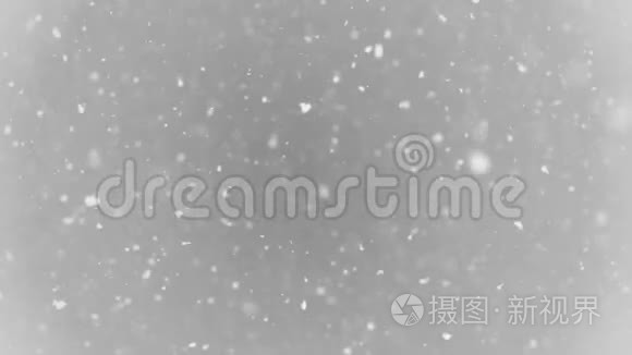 白色的大雪片飘落下来.