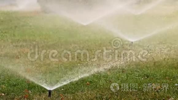 花园洒水器在夏天灌溉公园里的草。 自动灌溉系统